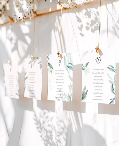 Plano de mesa para coleção botânica de casamentos