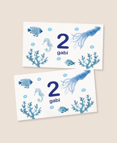 Adesivos horizontais para aniversário de marinheiro