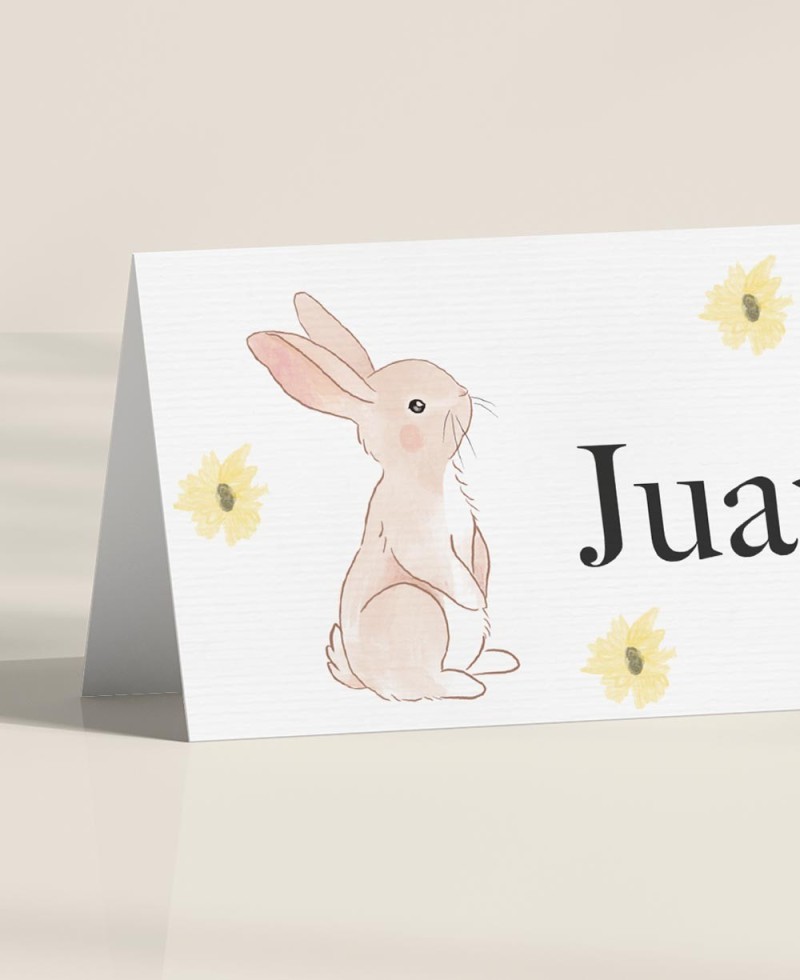 Estações de mesa Zoom para batismos na floresta