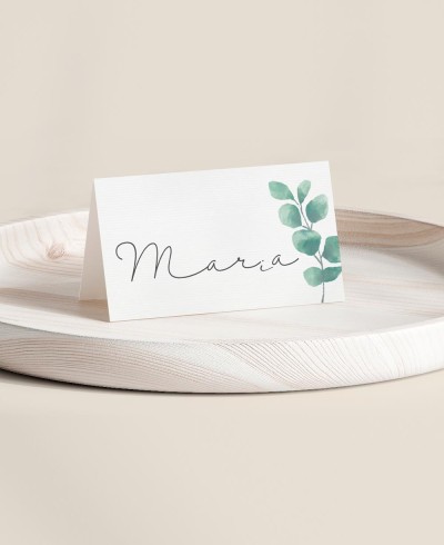 Mesa dobrada para batismos coleção botânica eucalipto