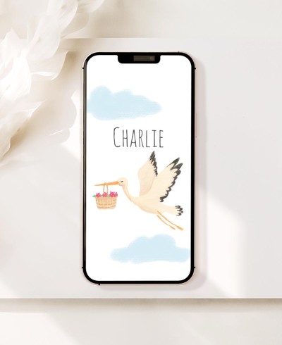 Invitación digital para bautizos cielo cigüeña