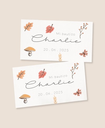 Adesivi rettangolari per regali di battesimo prato di grano