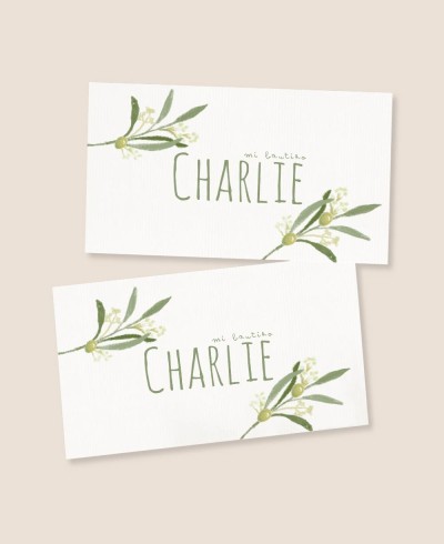 Adesivi rettangolari per regali battesimi botanici ulivo
