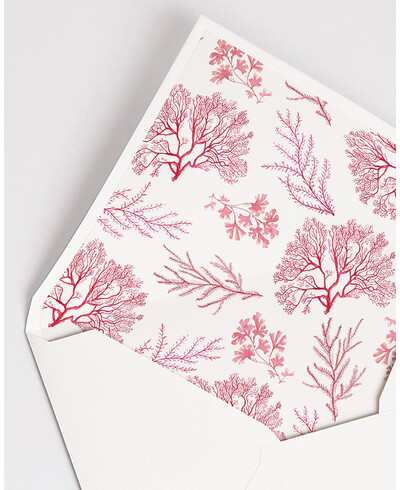 Envelopes with Coral Reef Lining | Marmarina