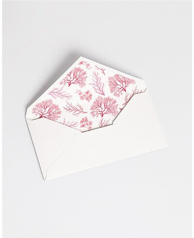 Umschläge mit Korallenrifffutter | Marmarina