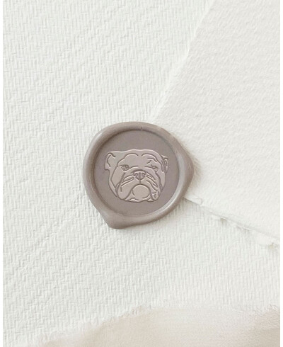 English Bulldog sealing seal