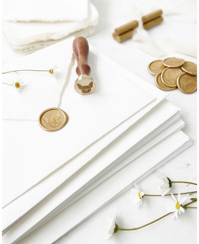 Tampons originaux pour chiens