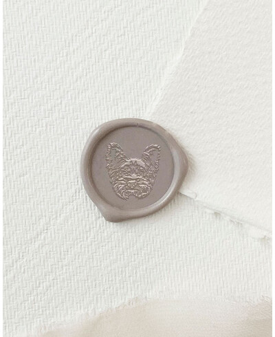 Yorkshire Siegelwachs zu verkaufen