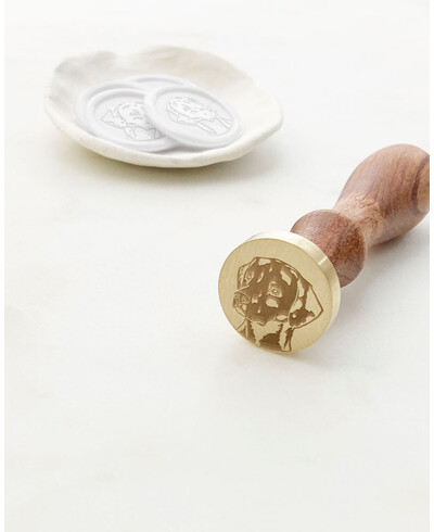 Scellés d’étanchéité dalmatiens à vendre