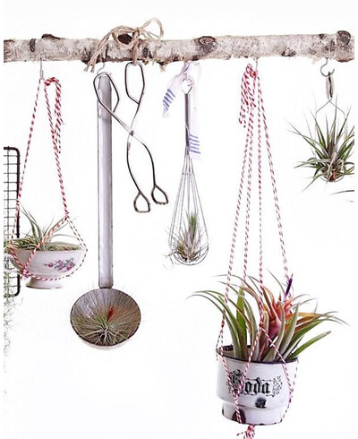 Cordes de couleur rouge et blanche pour la décoration