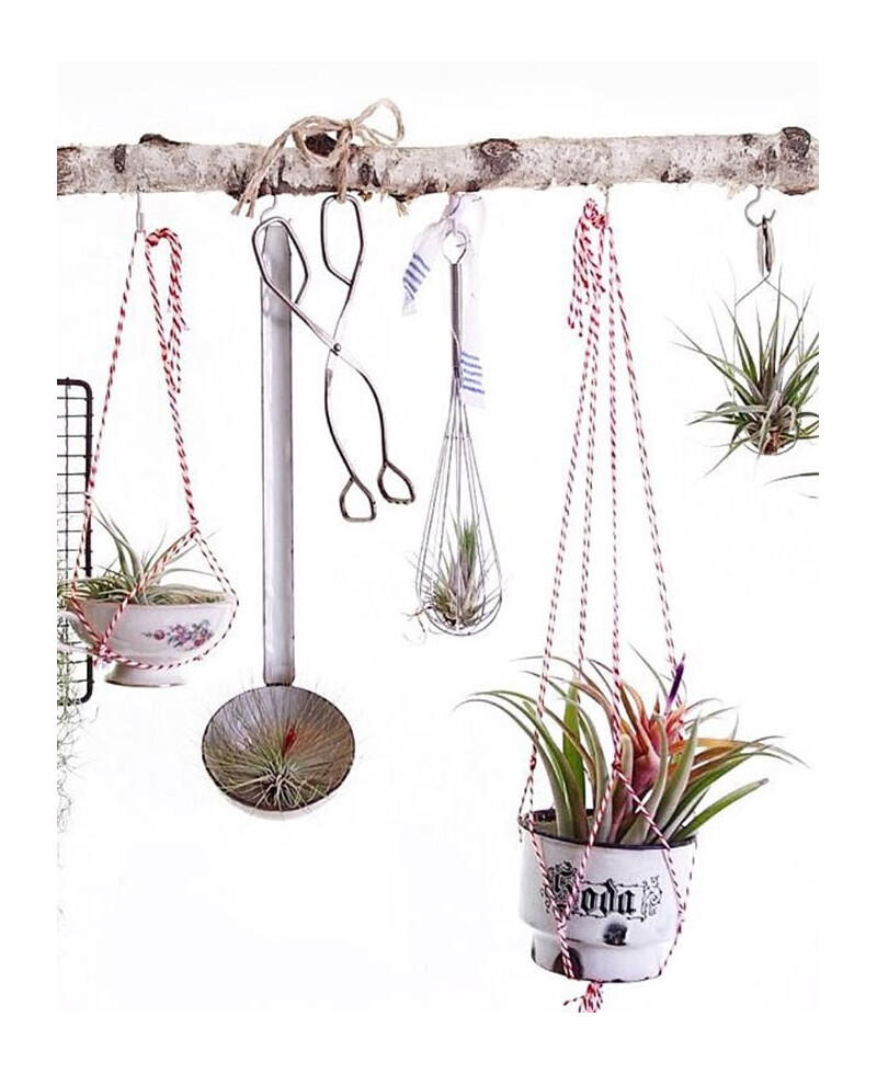 Cordes de couleur rouge et blanche pour la décoration