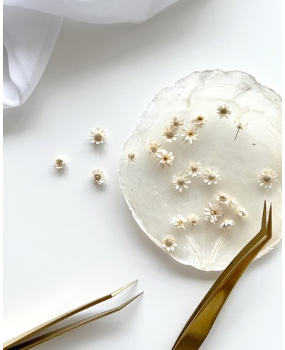 Stationery Decorating Daisies