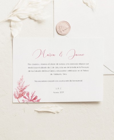 Invito a nozze orizzontale della barriera corallina