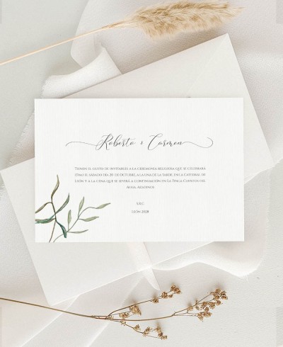 Invitación boda diseño con olivo